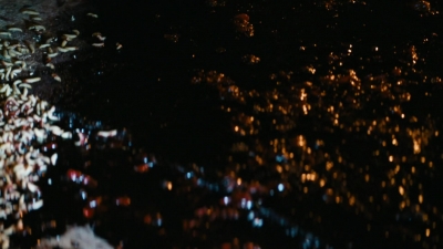 ftwd101_1752.jpg