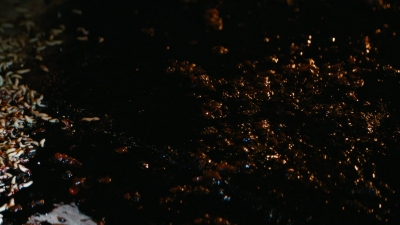ftwd101_1754.jpg