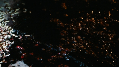 ftwd101_1755.jpg