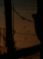 ftwd101_1465.jpg