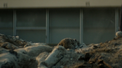 ftwd106_1621.jpg