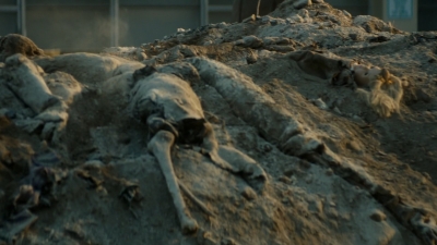 ftwd106_1640.jpg