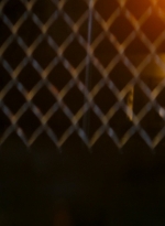 ftwd106_0520.jpg