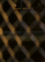 ftwd106_0524.jpg