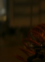 ftwd106_1473.jpg