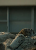 ftwd106_1622.jpg