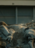 ftwd106_1637.jpg