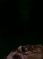 ftwd106_1754.jpg