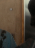 ftwd106_2099.jpg
