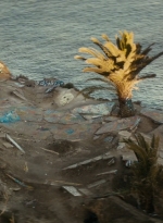 ftwd106_2262.jpg