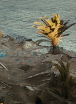 ftwd106_2263.jpg