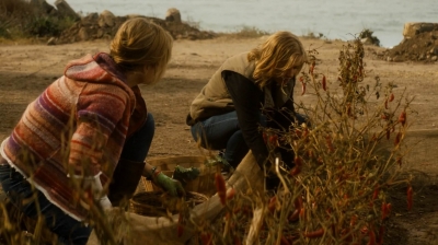 ftwd202_2224.jpg