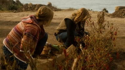 ftwd202_2225.jpg