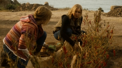 ftwd202_2227.jpg