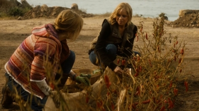 ftwd202_2228.jpg