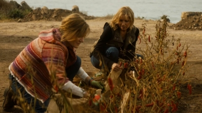 ftwd202_2229.jpg