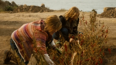 ftwd202_2231.jpg