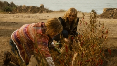 ftwd202_2232.jpg