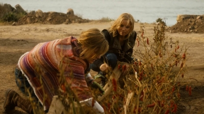 ftwd202_2233.jpg