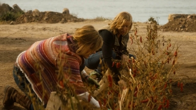 ftwd202_2234.jpg