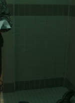 ftwd301_1337.jpg