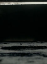 ftwd301_1889.jpg