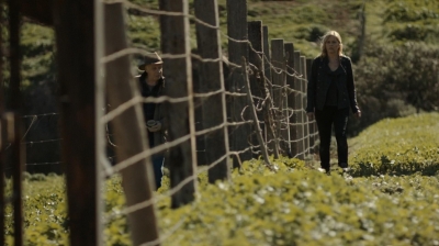 ftwd302_1073.jpg