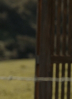 ftwd302_0908.jpg