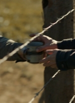 ftwd302_0943.jpg