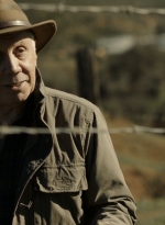 ftwd302_1031.jpg