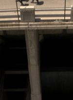 ftwd316_1151.jpg