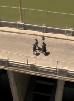 ftwd316_1155.jpg