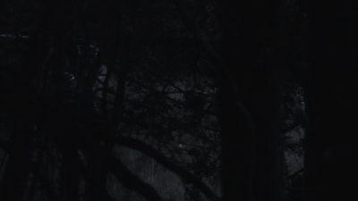 ftwd401_0921.jpg