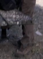 ftwd401_1582.jpg