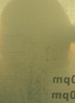 ftwd402_0754.jpg