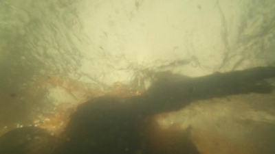 ftwd404_0947.jpg