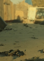 ftwd404_0764.jpg