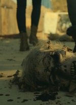 ftwd404_0767.jpg