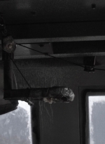 ftwd406_0203.jpg