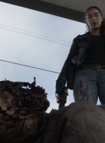 ftwd501_1680.jpg