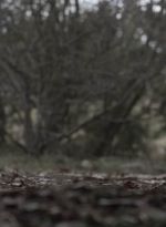 ftwd504_1497.jpg