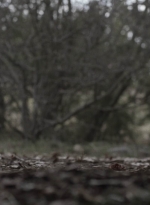 ftwd504_1498.jpg
