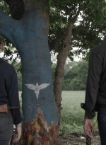 ftwd511_2105.jpg