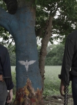 ftwd511_2106.jpg