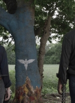 ftwd511_2107.jpg