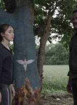 ftwd511_2114.jpg