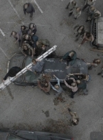 ftwd512_1611.jpg