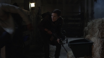 ftwd514_1280.jpg