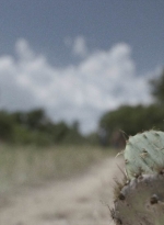 ftwd515_1501.jpg