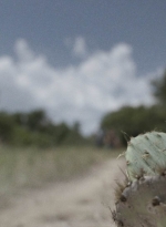 ftwd515_1502.jpg